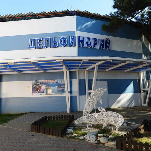 дельфинарий кабардинка