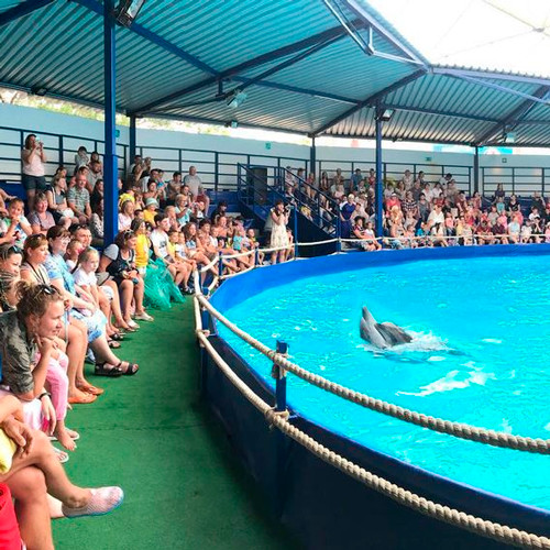 дельфинарий кабардинка